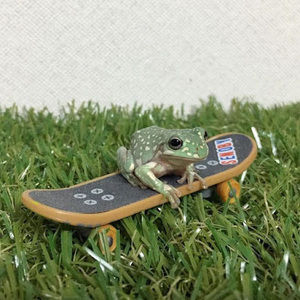 Meet your Posher, Moss